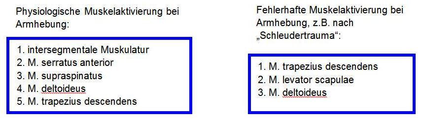 Grafik posturale Programme Armhebung