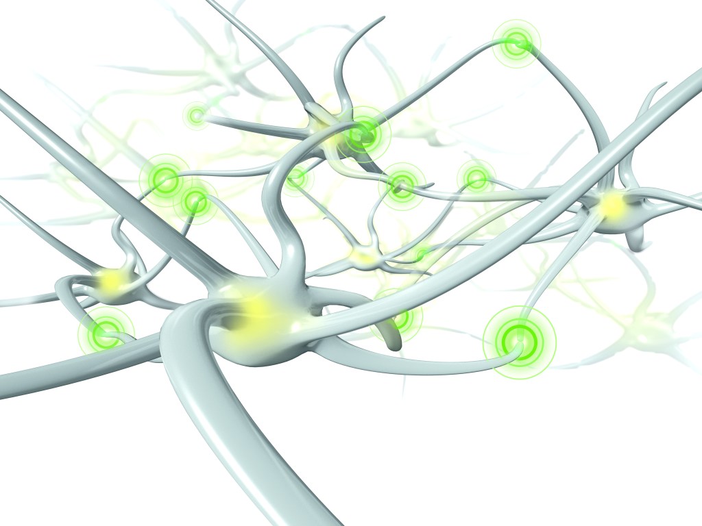 Was passiert im Nervensystem nach einer spinalen&nbsp;Manipulation?